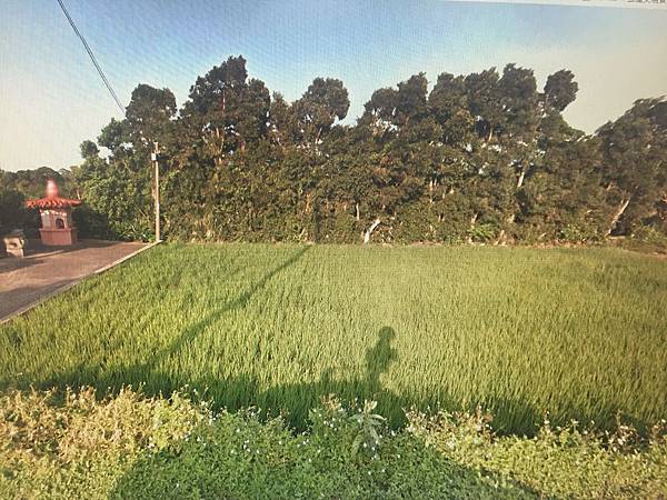 相片 2016-12-23 16 13 10.jpg 相片 2016-12-23 16 13 10.jpg