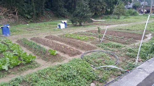 相片 2017-2-11 21 49 17.jpg 相片 2017-2-11 21 49 17.jpg