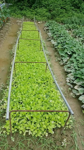 相片 2017-2-11 21 48 50.jpg 相片 2017-2-11 21 48 50.jpg