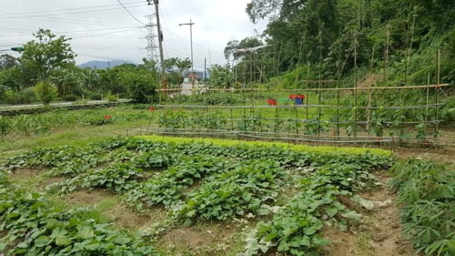 相片 2017-2-11 21 48 43.jpg 相片 2017-2-11 21 48 43.jpg