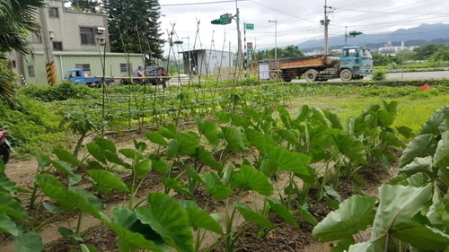 相片 2017-2-11 21 48 54.jpg 相片 2017-2-11 21 48 54.jpg