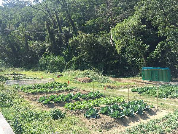 相片 2017-2-16 13 01 06.jpg 相片 2017-2-16 13 01 06.jpg