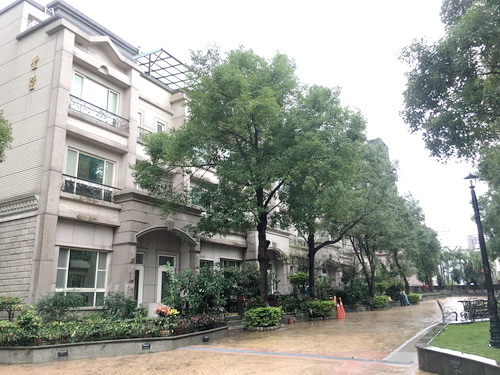 IMG_7310.JPG IMG_7310.JPG