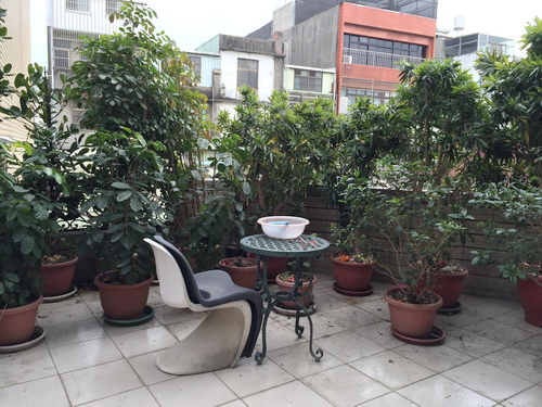 相片 2017-2-15 15 46 42.jpg 相片 2017-2-15 15 46 42.jpg