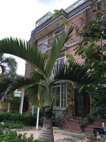 IMG_6433.JPG IMG_6433.JPG