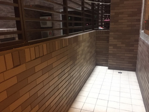 S__54427755.jpg S__54427755.jpg