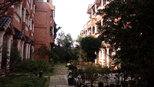 IMAG1053.jpg