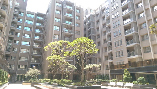 IMAG8277.jpg IMAG8277.jpg