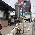 TaipeiBus (2).JPG