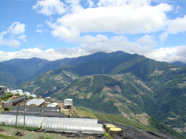 魯媽媽擺夷料理的山景