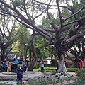 板橋林家花園15.jpg