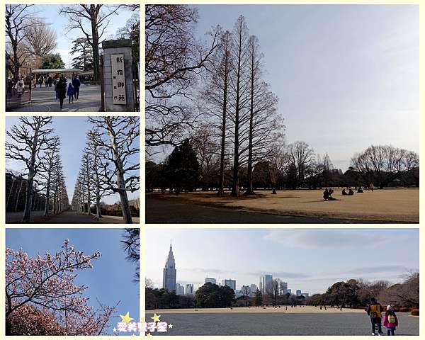 日本東京新宿御苑 一年四季不論何時去 都有不同感受的美麗庭園 超級廣闊 是郊遊野餐好去處 愛美雙子星 痞客邦