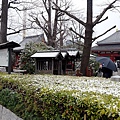 淺草觀音寺42.jpg