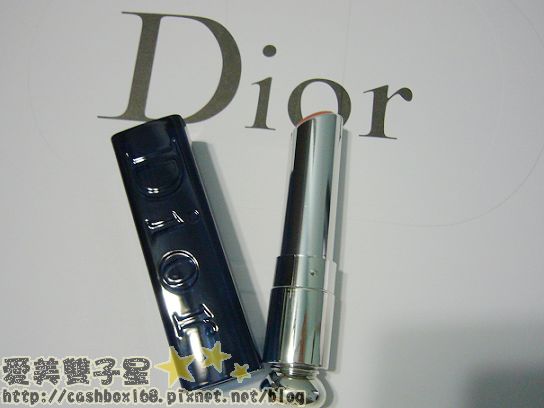 DIOR發表17.jpg