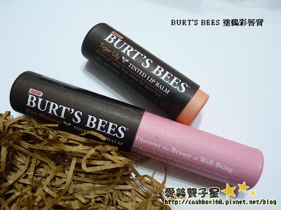 burt'sbees口紅02.jpg