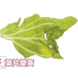 3677184_314f8074e008ba89bf49f8187e64a8db_160x160.jpg 3677184_314f8074e008ba89bf49f8187e64a8db_160x160.jpg