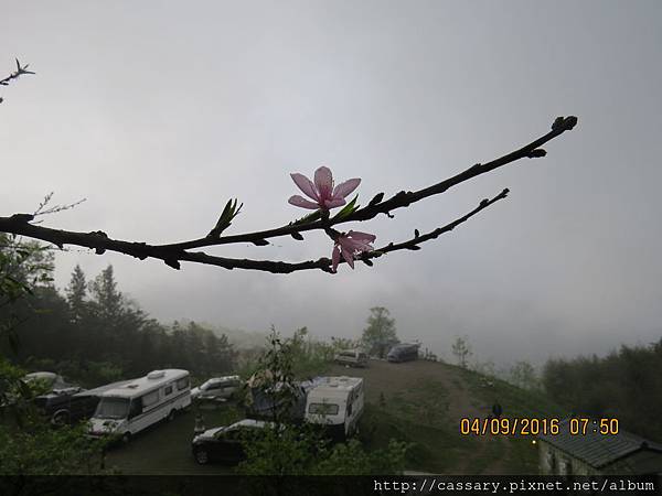 IMG_0712.JPG IMG_0712.JPG