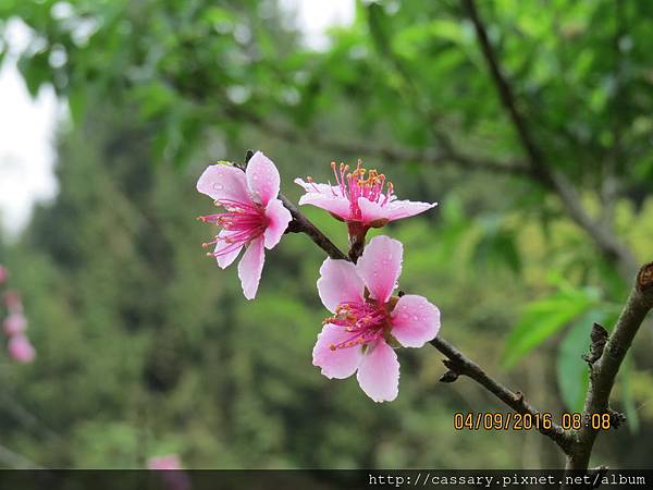 IMG_0741.JPG IMG_0741.JPG