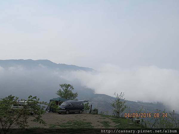 IMG_0774.JPG IMG_0774.JPG