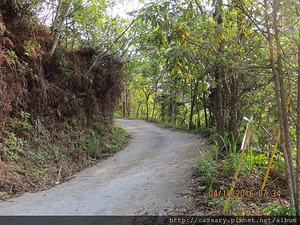 IMG_0796.JPG IMG_0796.JPG