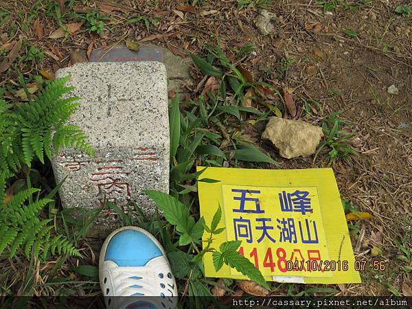 IMG_0813.JPG IMG_0813.JPG