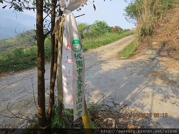 IMG_0831.JPG IMG_0831.JPG