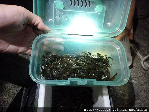 P1210651.JPG P1210651.JPG