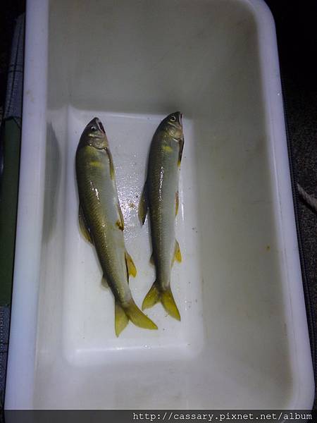 P1210649.JPG P1210649.JPG