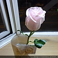 P1020536.JPG