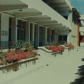 白樓1982-1.JPG