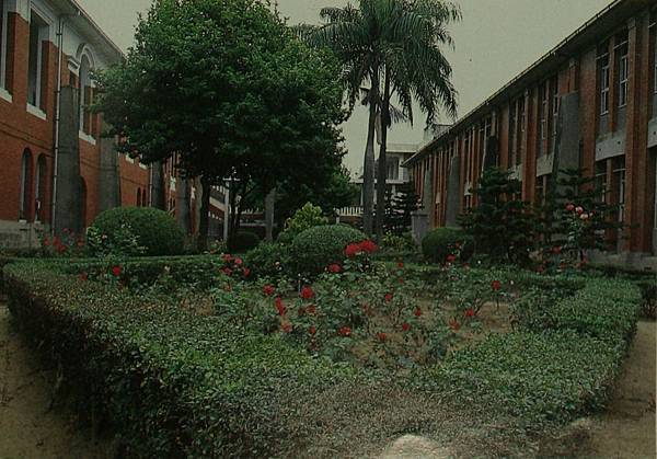 玫瑰花園1986.jpg