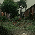 玫瑰花園1986.jpg
