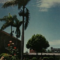 玫瑰花園1988.jpg