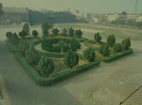 花園1982.jpg