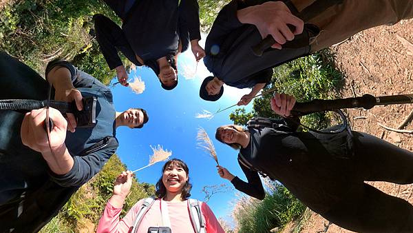 4_3芒草 (3).jpg 4_3芒草 (3).jpg