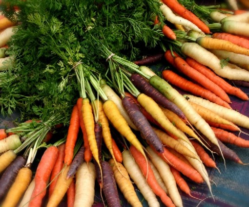 Organic%20Carrots.jpg