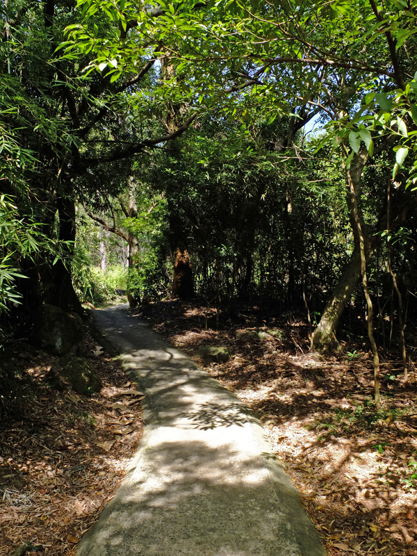 2013-11-09忠義山親山步道066.jpg