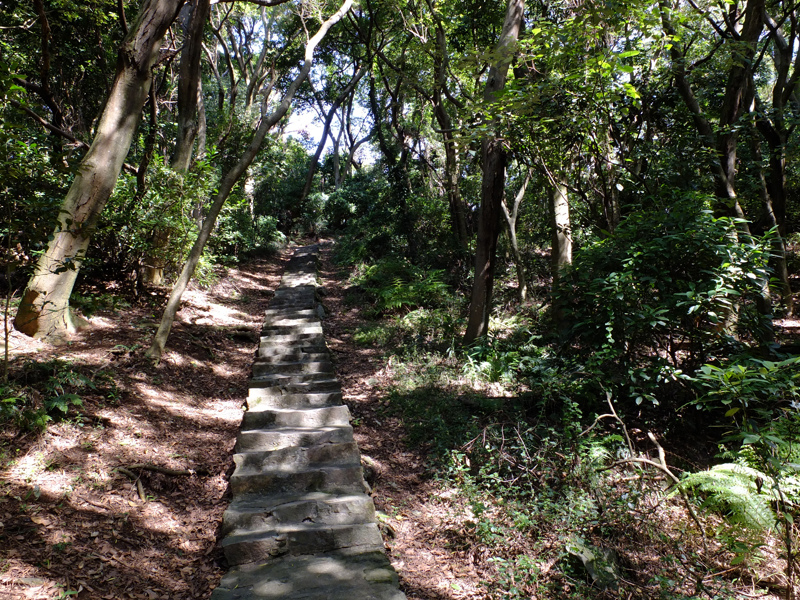 2013-11-09忠義山親山步道074.jpg