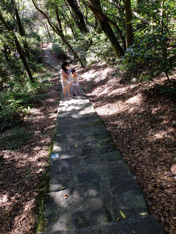 2013-11-09忠義山親山步道075.jpg