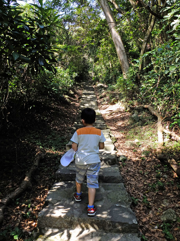 2013-11-09忠義山親山步道081.jpg