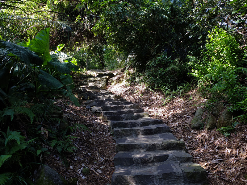 2013-11-09忠義山親山步道085.jpg