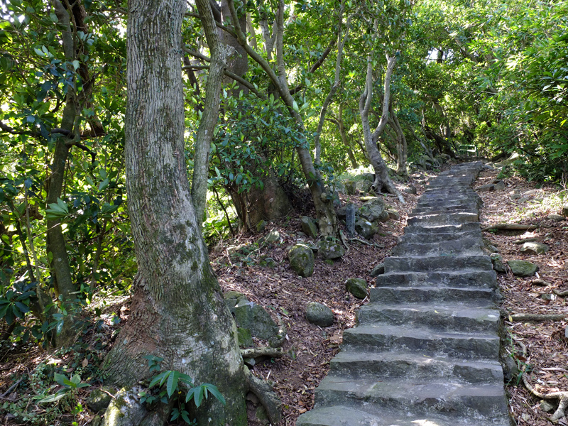 2013-11-09忠義山親山步道088.jpg