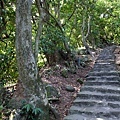 2013-11-09忠義山親山步道088.jpg
