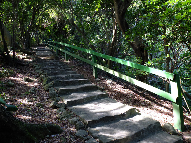 2013-11-09忠義山親山步道089.jpg