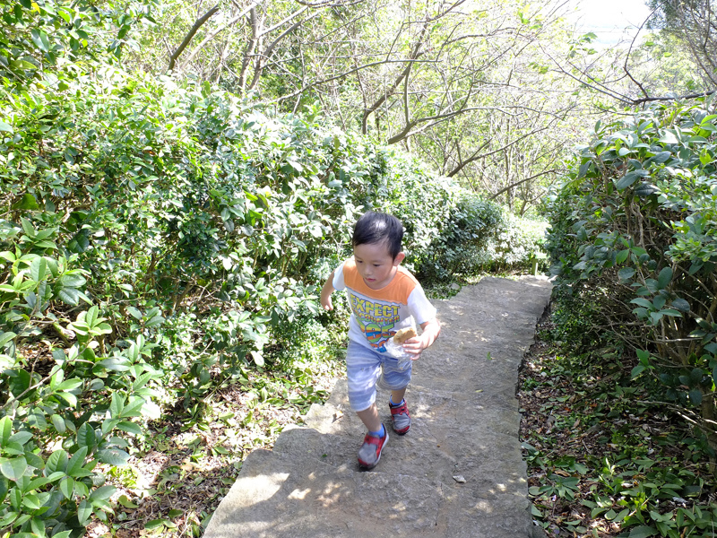 2013-11-09忠義山親山步道098.jpg