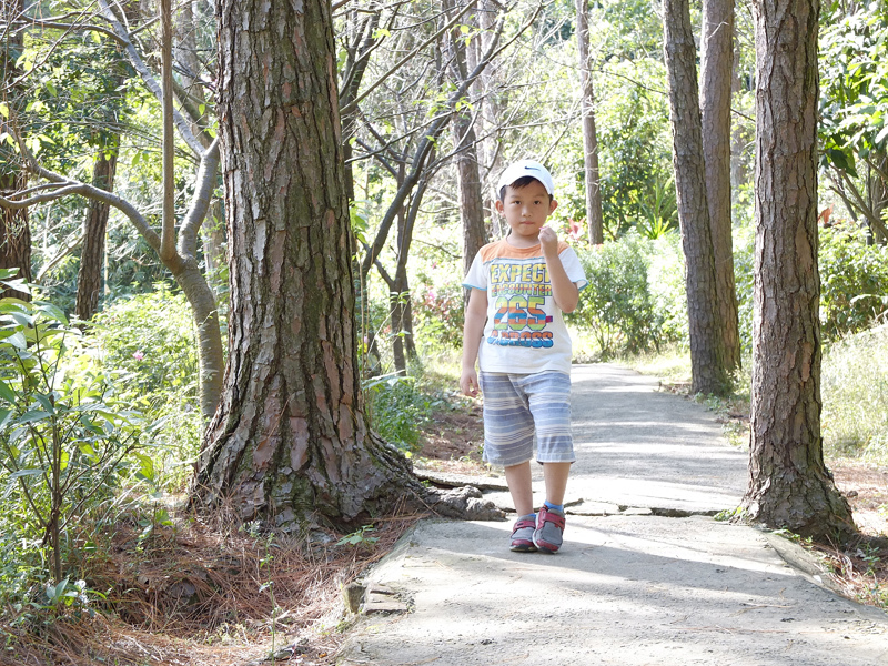 2013-11-09忠義山親山步道113.jpg