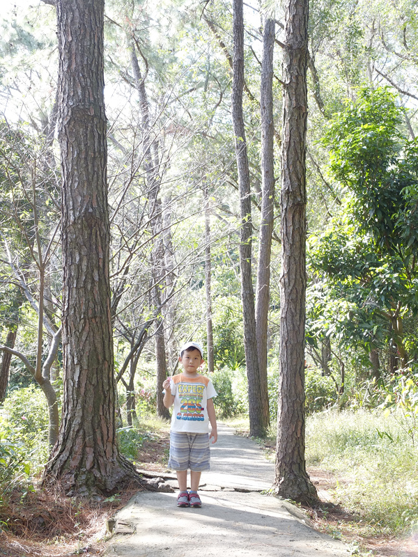 2013-11-09忠義山親山步道112.jpg