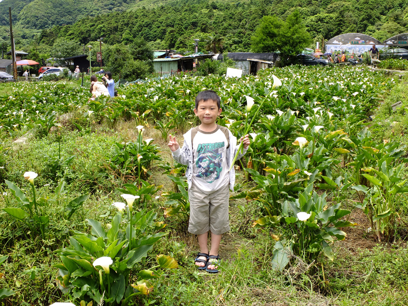 2014-05-18甘味坊020.jpg