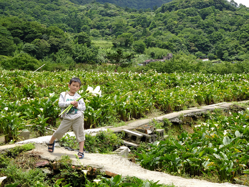 2014-05-18甘味坊028.jpg