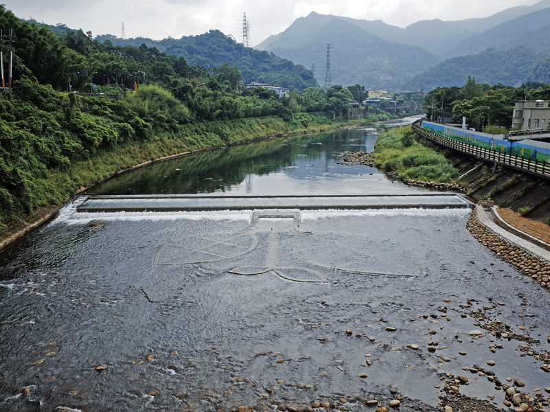 2014-06-22坪林親水吊橋005.jpg